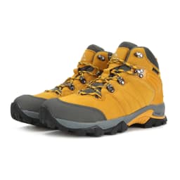 Product Image 66d6ee1e7bbd835044fd7705